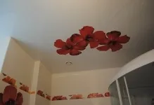 Стелі натяжні фотодрук ванна кімната маленька, фото і варіанти (ванна) Стелі натяжні фотодрук ванна кімната маленька, фото і варіанти