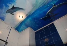 Стелі натяжні фотодрук ванна кімната маленька, фото і варіанти (натяжні) Стелі натяжні фотодрук ванна кімната маленька, фото і варіанти