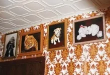 Стеля з пінопласту панелі своїми руками, як зробити фото, як прикріпити декор, квадрати (пінопласту) Стеля з пінопласту панелі своїми руками, як зробити фото, як прикріпити декор, квадрати