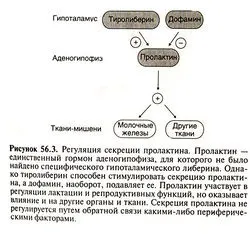 Підвищений пролактин (лікування) (лікування) Підвищений пролактин (лікування)