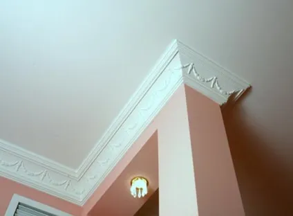 Стельовий плінтус види