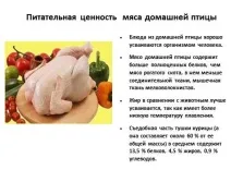 Презентація - страви з домашньої птиці ( «Птах столі свято будинку») Презентація - страви з домашньої птиці