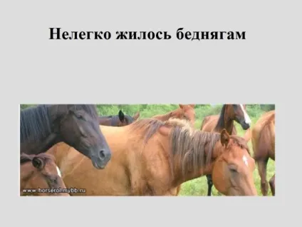 Презентація - урок-роздум «про що плачуть коня»