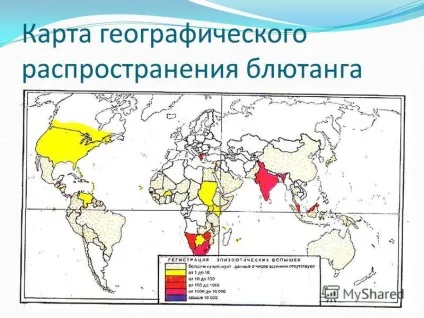 Презентація на тему блютанг блютанг (або катаральна лихоманка овець) відноситься до групи (таких як великий.) Презентація на тему блютанг блютанг (або катаральна лихоманка овець) відноситься до групи