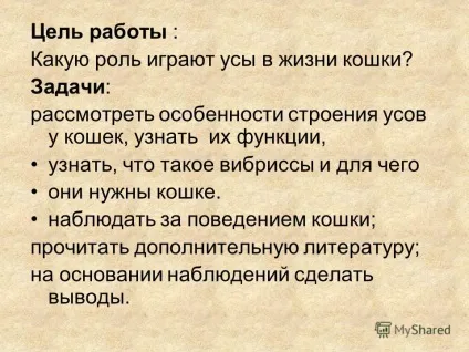 Презентація на тему дослідницька робота навіщо кішці вуса виконала учениця 3 - а - класу МОУ (робота) Презентація на тему дослідницька робота навіщо кішці вуса виконала учениця 3 - а - класу МОУ