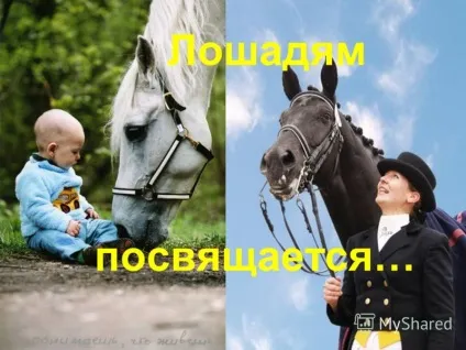 Презентація на тему людина і кінь - вічний союз (вічний) Презентація на тему людина і кінь - вічний союз