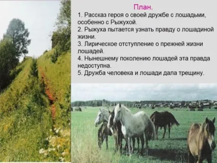 Презентація - урок-роздум «про що плачуть коня»