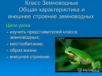 Презентація на тему як ви ставитеся до жабам, жабам чому у вас склалося таке враження (чому) Презентація на тему як ви ставитеся до жабам, жабам чому у вас склалося таке враження