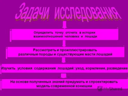 Презентація на тему людина і кінь - вічний союз (союз) Презентація на тему людина і кінь - вічний союз