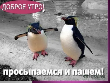 Презентація на тему що, якщо, де - підрядні союзи (де - підрядні союзи. 2.Визначення не відповідає на питання чий? 3.сложноподчінённое пропозицію складається з головного і придаткового.) Презентація на тему що, якщо, де - підрядні союзи