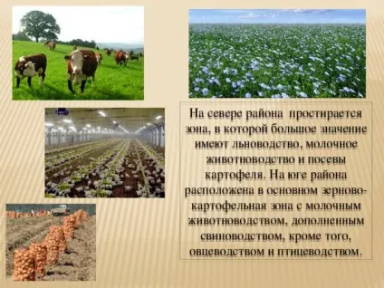 Презентація - центральний економічний район - географія, презентації (район) Презентація - центральний економічний район - географія, презентації