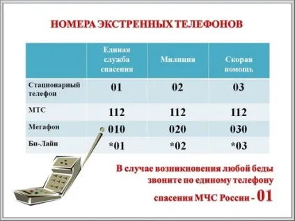 Презентації на тему тероризм і безпеку людини в сучасному світі, види терористичних (людини) Презентації на тему тероризм і безпеку людини в сучасному світі, види терористичних
