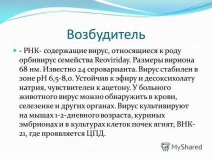 Презентація на тему блютанг блютанг (або катаральна лихоманка овець) відноситься до групи (презентація) Презентація на тему блютанг блютанг (або катаральна лихоманка овець) відноситься до групи