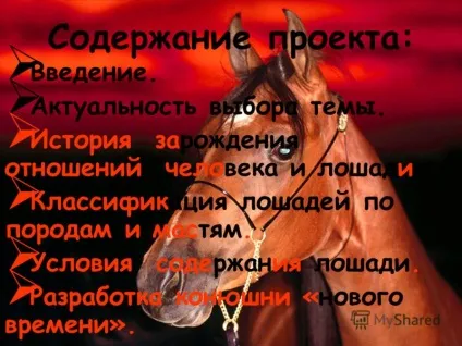Презентація на тему людина і кінь - вічний союз (людина) Презентація на тему людина і кінь - вічний союз