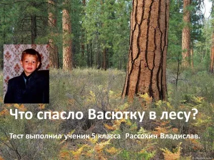 Презентація на тему що врятувало Васютку в лісі тест виконав учень 5 класу Рассохін владислав (лісі) Презентація на тему що врятувало Васютку в лісі тест виконав учень 5 класу Рассохін владислав