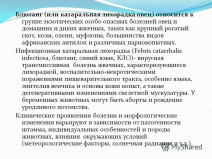 Презентація на тему блютанг блютанг (або катаральна лихоманка овець) відноситься до групи (таких як великий.) Презентація на тему блютанг блютанг (або катаральна лихоманка овець) відноситься до групи