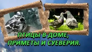 Прикмети про пожежу (пожежі) Прикмети про пожежу
