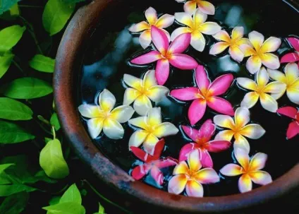 Продовжуємо пляжний сезон куди поїхати відпочивати восени () Продовжуємо пляжний сезон куди поїхати відпочивати восени