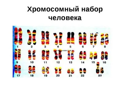 Причини виникнення пухлин головного мозку генетичні порушення та інші причини (причини) Причини виникнення пухлин головного мозку генетичні порушення та інші причини