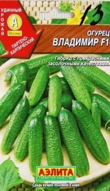 Пророщені насіння огірків фото, вирости сад! (Насіння) Пророщені насіння огірків фото, вирости сад!