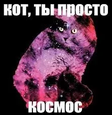 Просто космос мем, memepedia