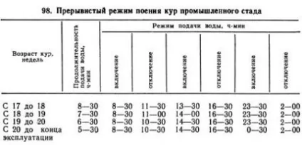 Промислове стадо курей-несучок - агроархів сільськогосподарські матеріали (освітлення) Промислове стадо курей-несучок - агроархів сільськогосподарські матеріали