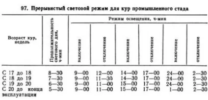Промислове стадо курей-несучок - агроархів сільськогосподарські матеріали (продуктивності) Промислове стадо курей-несучок - агроархів сільськогосподарські матеріали
