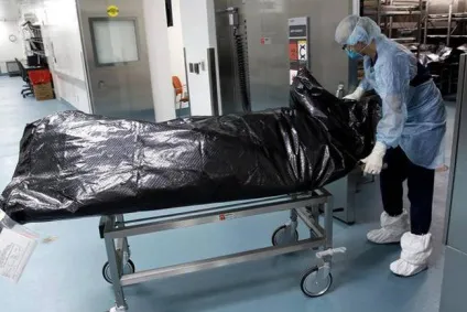 Професія судмедексперт плюси, мінуси та особливості, плюси і мінуси (судмедексперт) Професія судмедексперт плюси, мінуси та особливості, плюси і мінуси