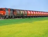 Які вантажі необхідно перевозити в рефрижераторах