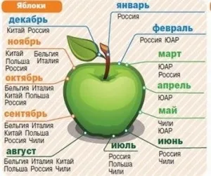 Які вітаміни містяться в свіжому, печеному і сушеному яблуці (яблуці) Які вітаміни містяться в свіжому, печеному і сушеному яблуці