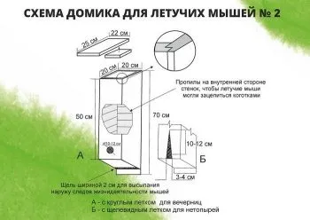 Як позбутися від кажанів на дачі назавжди способи боротьби, прилади (боротьби) Як позбутися від кажанів на дачі назавжди способи боротьби, прилади
