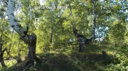 Як позбутися від полтергейсту (4 фото) (полтергейсту) Як позбутися від полтергейсту (4 фото)