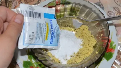 Як позбутися від літаючих мурах методи боротьби (боротьби) Як позбутися від літаючих мурах методи боротьби