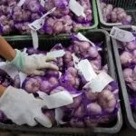 Перевірена користь часнику - дослідження та відгуки (перевірена) Перевірена користь часнику - дослідження та відгуки