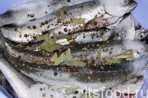 Пряний посол риби в домашніх умовах