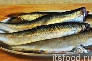 Пряний посол риби в домашніх умовах