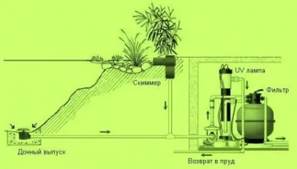 Ставок на ділянці, догляд за ставком, корисні поради (ділянці) Ставок на ділянці, догляд за ставком, корисні поради