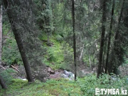 Путівник по Киргизії де і за скільки відпочити (2400 тенге дитини 1200) Путівник по Киргизії де і за скільки відпочити