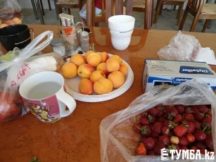 Путівник по Киргизії де і за скільки відпочити (2400 тенге дитини) Путівник по Киргизії де і за скільки відпочити