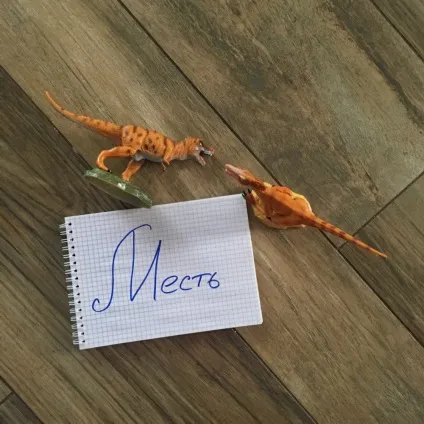 Психологія помсти