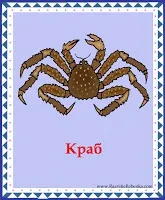 Розвиток дитини картки вивчаємо тварин і птахів (іграшки своїми руками) Розвиток дитини картки вивчаємо тварин і птахів