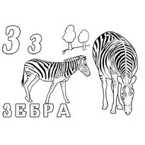 розфарбування зебра