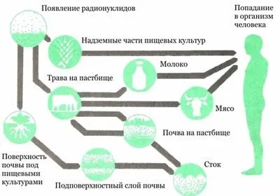 Радіоактивне опромінення людини види, вплив на організм