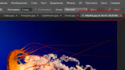 Робота з вкладками вікон документів в photoshop (вкладки) Робота з вкладками вікон документів в photoshop