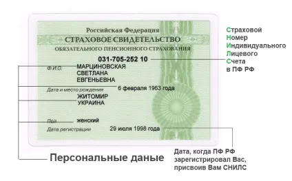 Розшифровка СНІЛС, що таке СНІЛС, для чого потрібен СНІЛС (розшифровка СНІЛС) Розшифровка СНІЛС, що таке СНІЛС, для чого потрібен СНІЛС
