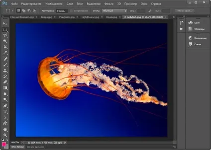 Робота з вкладками вікон документів в photoshop (вікон) Робота з вкладками вікон документів в photoshop