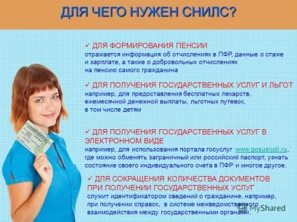 Розшифровка СНІЛС, що таке СНІЛС, для чого потрібен СНІЛС (розшифровка) Розшифровка СНІЛС, що таке СНІЛС, для чого потрібен СНІЛС