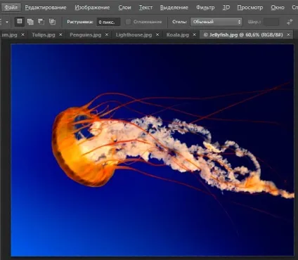 Робота з вкладками вікон документів в photoshop (вікно) Робота з вкладками вікон документів в photoshop