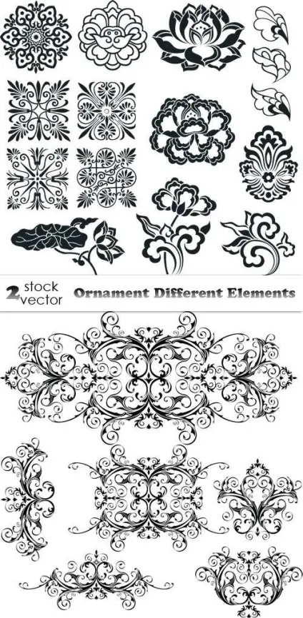 Рослинні і квіткові орнаменти, каліграфічні елементи (каліграфічні) Рослинні і квіткові орнаменти, каліграфічні елементи