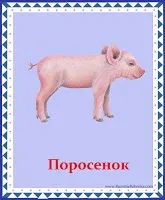 Розвиток дитини картки вивчаємо тварин і птахів (математика для дітей) Розвиток дитини картки вивчаємо тварин і птахів
